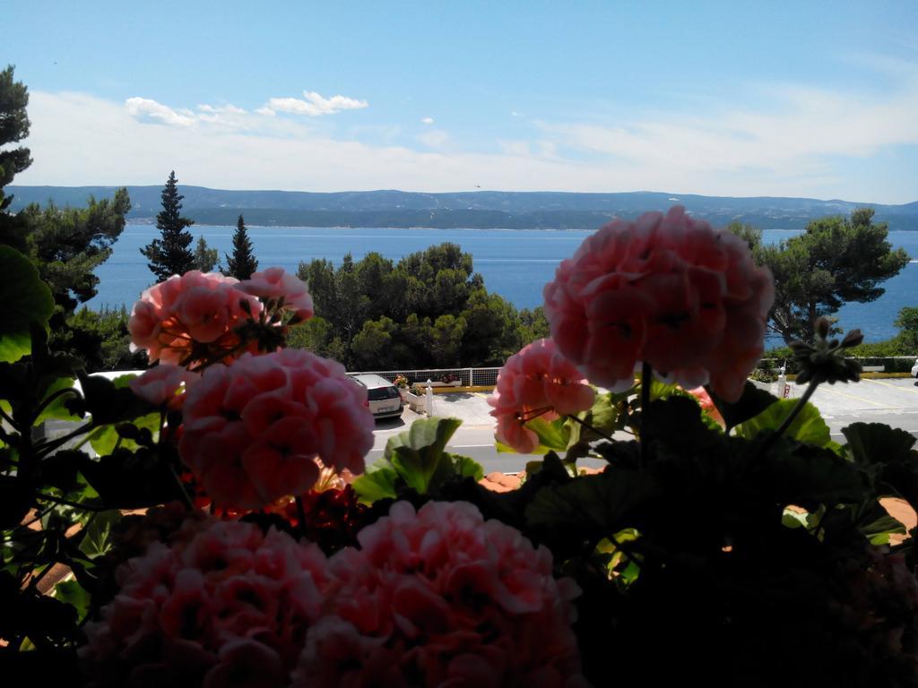 Villa Ljetni San Omis Bagian luar foto