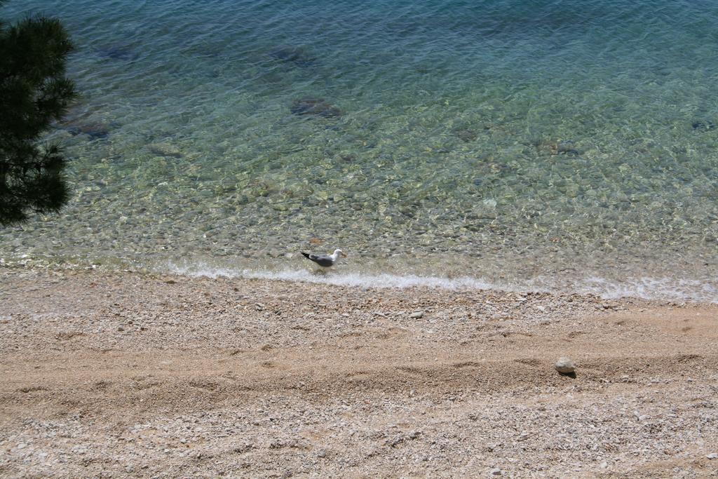 Villa Ljetni San Omis Bagian luar foto